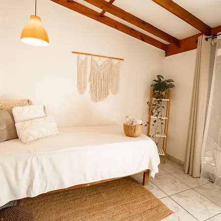 Tribe Boutique Hotel - Adults Only-3